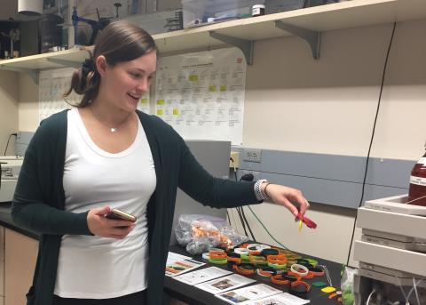 Holly Dixon, College of Ag Sciences, Oregon State University Chemically Senitive Wristbands